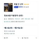 세탁1번지 | 일본 오사카 1인 숙소 추천 베셀인 난바 도톤보리 가성비 호텔