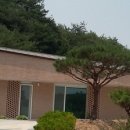 월림보건진료소 이미지