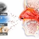 숨길을열다한의원 이미지