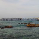 송림목장 이미지