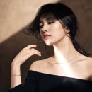수지 - 논산시 | 수지