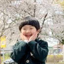 이본유치원