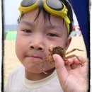 송이모텔 이미지