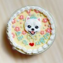 치치까까 | 강아지 생일케이크 치치까까 내돈내산후기
