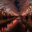 양재천 수변무대4 이미지