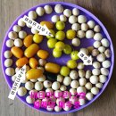 신성2호 이미지