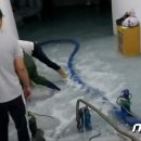 정관 아쿠아드림파크 앞 이미지