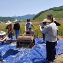 두레로2 이미지