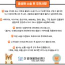 더엘동물의료센터 | [오치동] 광주 북구 동물병원 추천, 더 엘 동물의료센터