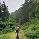 망월재 | [장성군 서삼면/황룡면, 고창군 고수면] 문수사 단풍나무 숲 &amp; 축령산 임도라이딩 후기