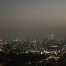 씨오디아이
