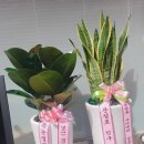 가오리역 이미지