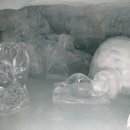 아라클럽 이미지