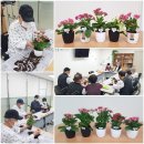 [광주보훈병원 전문재활센터] 원예 프로그램(봄꽃 심기) 실시 이미지