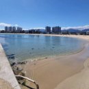 천진해변 | 속초 천진해변 애견동반 데크 이용 후기 🐶🌊