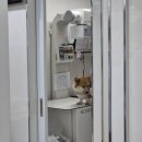 땡큐DOG동물병원 이미지