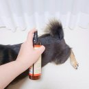 위드씨에이