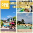 스테프핫도그워터월드 | 3곳 대형 파도풀이 있는 하이원리조트와 동해뷰 실외워터파크가 있는 쏠비치 삼척과 마운틴뷰에 버블...