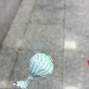 송도용궁구름다리 | [부산] 송도해상케이블카/송도스카이파크/송도용궁구름다리 후기