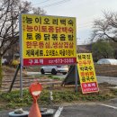 바우농장 | 안성 능이버섯백숙맛집 "구르메"에서 능이토종백숙 먹은 후기(원체스트맛집)