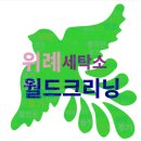 중앙세탁소 | 위례 세탁소 월드크리닝 솔직 후기: 잦은 할인은 좋지만, 품질은?