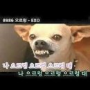 달인노래방