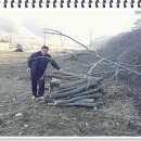 도전농장 이미지