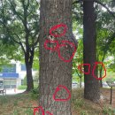 한솔반점 | 빨리 지나가 여름년아 ㅠ 8월 일상 🌱