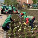 신양면행정복지센터 이미지