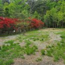 무릉고서화미술박물관 이미지