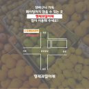 형제과일야채 - 광산구 신창로72번길 29 | 형제과일야채