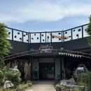 거니양돈 | [제주/노형] 제주시 카페, 공항근처 카페를 찾는다면 :: 미스틱 3도