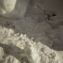 (주)바바펫 이미지