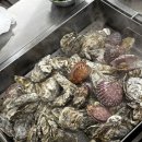 등대 | 🍂가을바다보며 즐긴 보령 천북굴단지 굴찜 [등대굴집] 방문 후기🐚