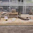 하이애니멀샵 이미지