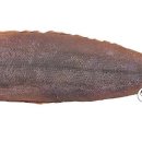 바다세상 이미지