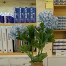 국민은행 온양점 앞 이미지