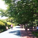 석남완충녹지공원 이미지