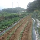 학창농장 이미지