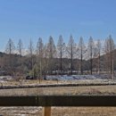 들풀산채정식 이미지