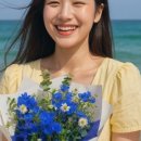 제주가원 이미지