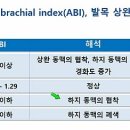 하지파지 이미지