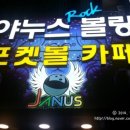 야누스 포켓볼 이미지