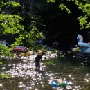 자인민박 이미지