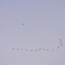 번개시장 이미지