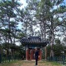 정운공순의비 네이버블로그