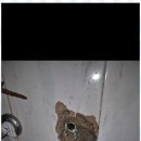 오케이종합공사