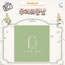 우리의 봄날 | [제주웨딩스냅 촬영후기] 우리의봄날 이용 후기, 제주스냅 추천(with 문작가님)