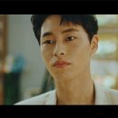 펫바라기 이미지