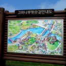 나루 Daum카페